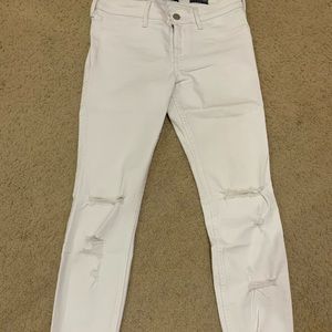 Hollister low rise jean